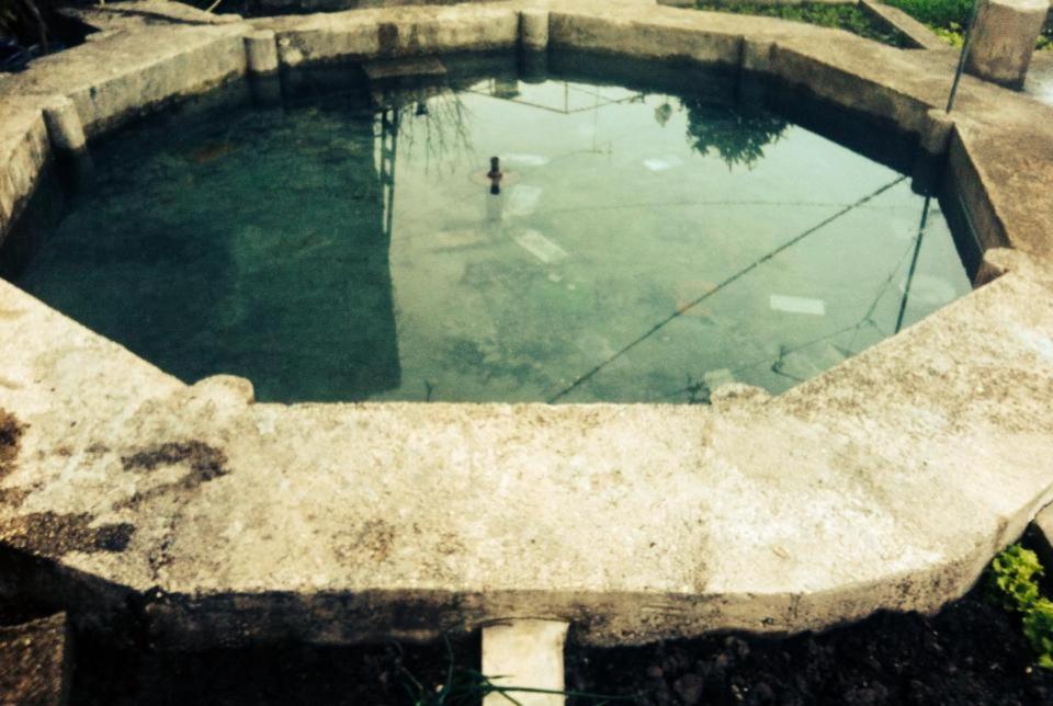 Guesthouse Celo Gjirokastër Dış mekan fotoğraf